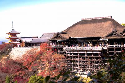 京都紅葉を求めての旅