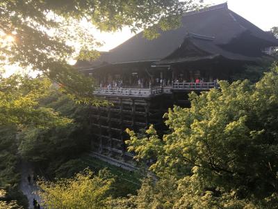 真夏の京都旅行2