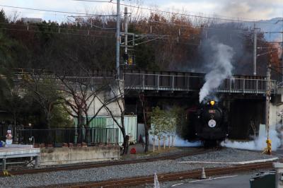 子供も大人も大満足！体験設備が充実の鉄道博物館