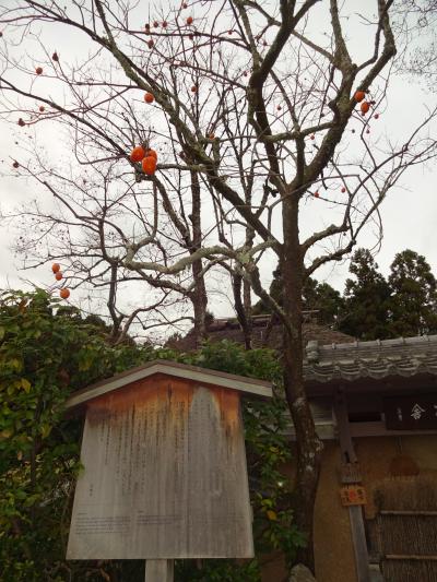 晩秋の京都ほろりん旅　～大覚寺　嵐山　嵯峨野