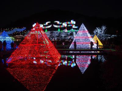 あしかがフラワーパーク　幻想的な光の花２０１６☆☆☆クリスマスファンタジー♪