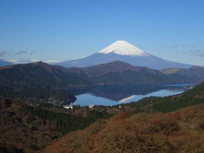 富士山展望スポットをめぐる旅（薩埵峠、浜石岳、三保松原、芦ノ湖、大観山）