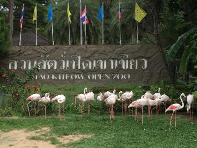 再びの子連れパタヤと初ラオス in 2016 (3) カオキアオ動物園 