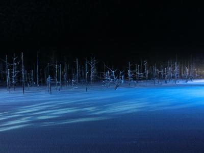 2016冬 女ひとりで週末北海道★雪の美術館＆美瑛の青い池ライトアップ