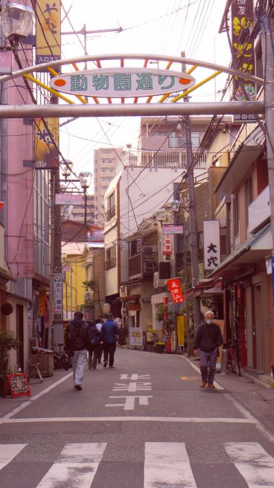 横浜の散歩道その７