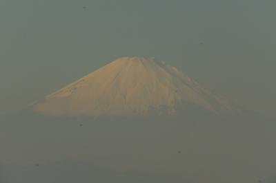 十二所果樹園