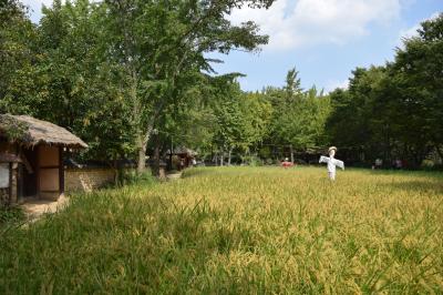 久々の韓国民俗村で陶器作りをしてきました♪