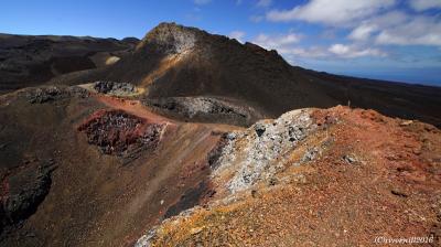 ガラパゴスであえて登山！世界第2位？のカルデラをもつシエラ・ネグラ火山