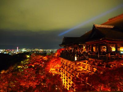 京都へ行ってきました！