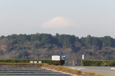 鎌倉霊園から見える富士山