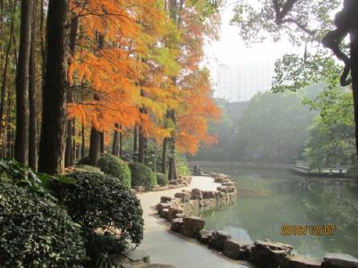 上海の南京西路・人民公園・落葉景観路・紅葉