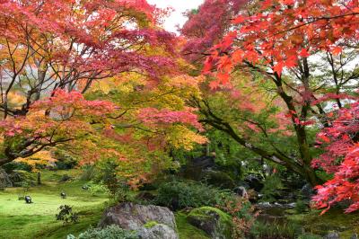 京都嵐山紅葉＆焼肉天壇