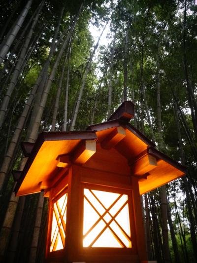奈良さんぽ：日本最古の神社、大神神社／薬水の湧く狭井神社へ