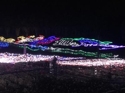 鹿屋バラ園のイルミネーションを見に行って見ました  ☆鹿児島県鹿屋市