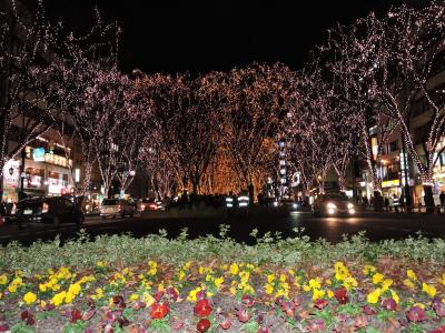 仙台「光のページェント」2016