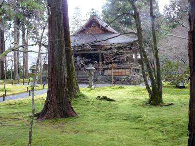 自分好みの京都の旅