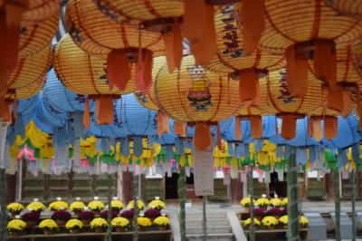 秋の仏国寺と夜のイベント｢千年夜行｣