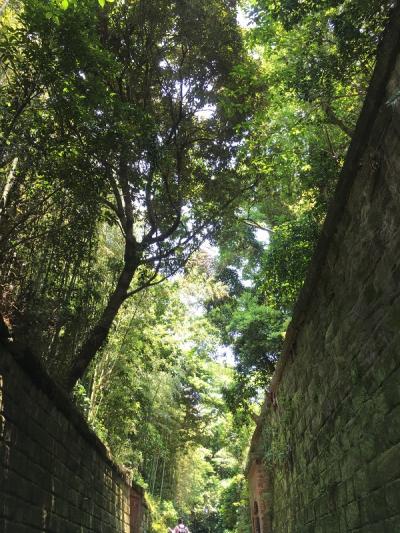 男一人で横須賀に行ってきた