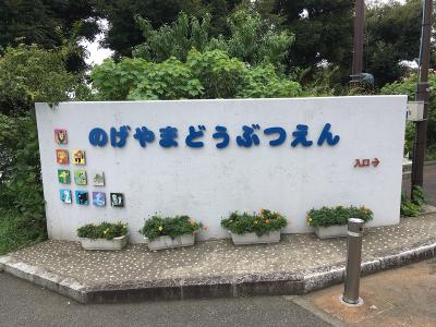 男2人で野毛山動物園に行ってきた