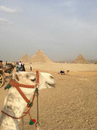 男一人でエジプト（カイロ）に旅行してきた