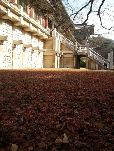慶州2日目、石窟庵と仏国寺