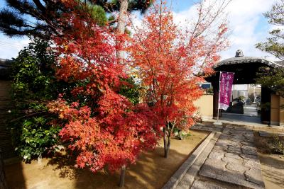 【国内243】2016.12堺出張旅行-ホテルアゴーラリージェンシー堺，南宗寺を散歩