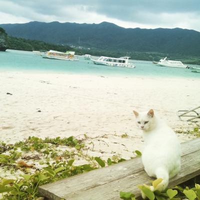 石垣島ふたたび～のんびりひとり暮旅～１