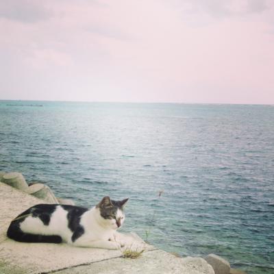 石垣島ふたたび～のんびりひとり暮旅～３