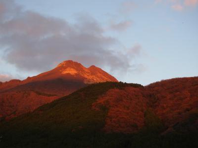 大分－由布院　おやど開花亭－