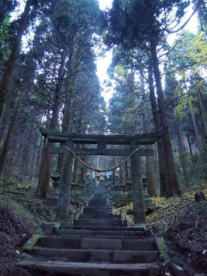 熊本－上色見熊野座神社・高森殿の杉－