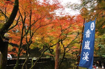 今年最初で最後の紅葉は　「香嵐渓」