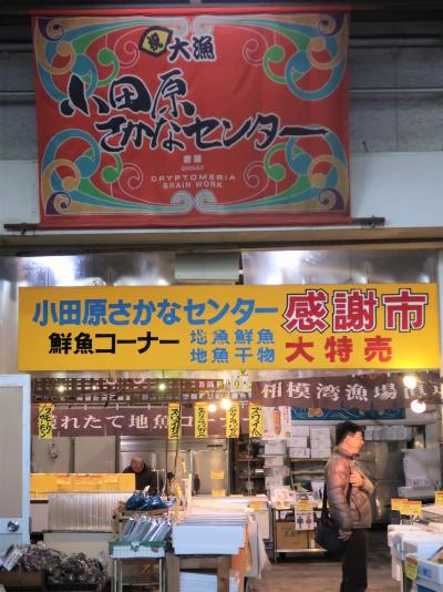小田原へ　早川漁村で海鮮丼（昼食）　☆クラブツーリズム　バス車窓風景