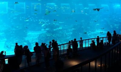 水族館はどこ？？？セントーサ島内行ったり来たり…　ジャカルタ・シンガポール2016の旅7-1