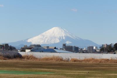 湘南町屋駅周辺から見える富士山