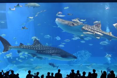 コップとカーの『結婚記念日の旅　２０１６』今年は沖縄だ♪♪　前編