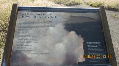 キラウエア火山：Steam Vents　プライド・オブ・アメリカ号四島クルーズ2016 12 20 
