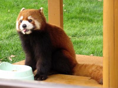 lrg_11201289.jpg?updated_at=