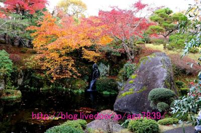 #309　2016年11月20日　箱根・箱根美術館　もみじ狩りぃ（１）・・・・強羅公園とセットのお買い得チケットで箱根美術館へ美術館だけあって　すげぇ・・・・（w(ﾟoﾟ)w ｵｵｰ!