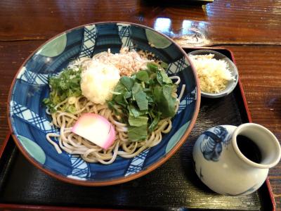 ０２．秋の三島文教町の銀杏並木　そば処 恋路亭の昼食　三島市佐野体験農園