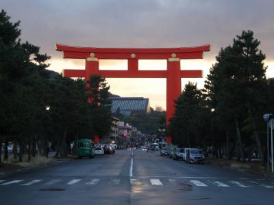 2016年12月 京野菜フェスティバルと手打ちうどん山元麺蔵 京都市動物園の無料入園日