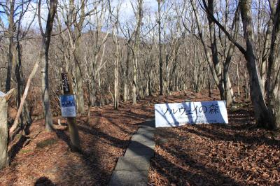 青春18切符一人旅　兵庫県　峰山高原　「ノルウエイの森」のロケ地で森を散歩してみた