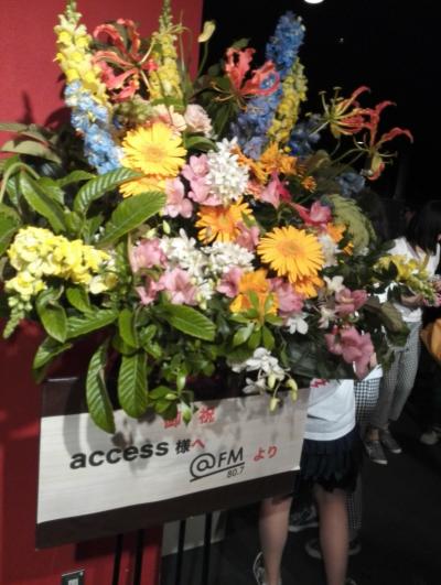 access ELECTRIC NIGHT 2016 愛知公演