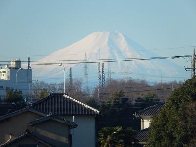 元旦にふじみ野市から見られた富士山