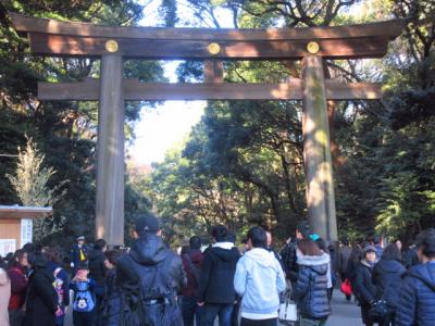 初詣、明治神宮