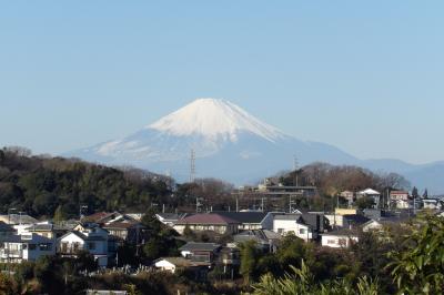JR北鎌倉駅裏から見える元旦の富士山