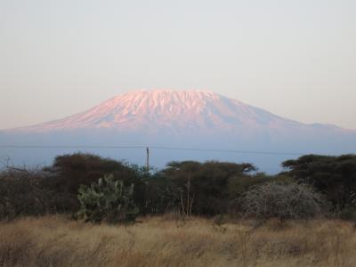 ケニアでサファリ一人旅 3-4日目：マサイマラ国立保護区で空からサファリ編
