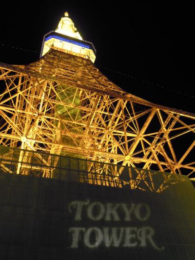 ひろ★ひろの忘年会～銀座と寿司と東京タワー～