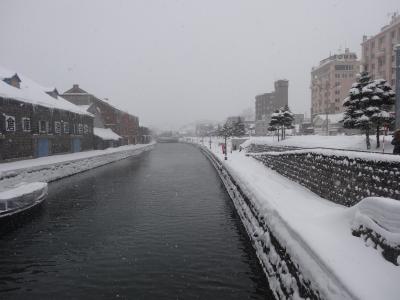 10年ぶりの北海道　<３>