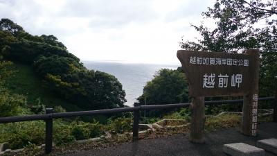 越前海岸と２つの博物館