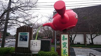 再びの薩摩半島　ふっこう割４は鹿児島